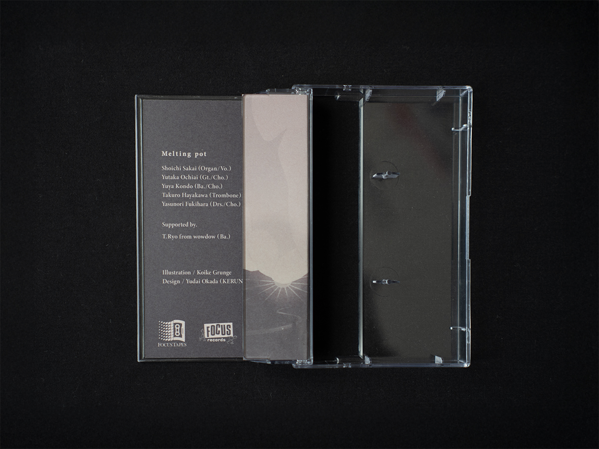 meltingpot_comeandgone